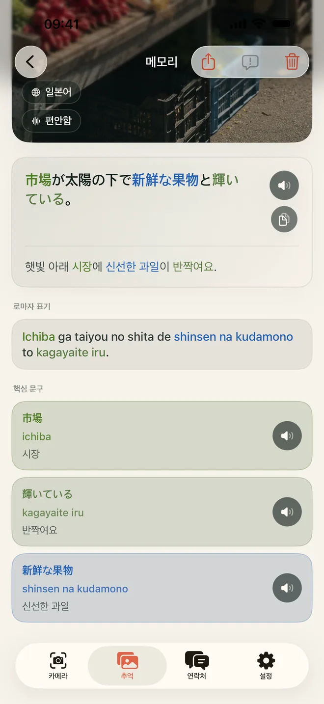문장과 의미, 제공되는 핵심 표현이 표시된 저장된 Kapio 추억